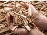 Che cos’è il&nbsp;cippato?