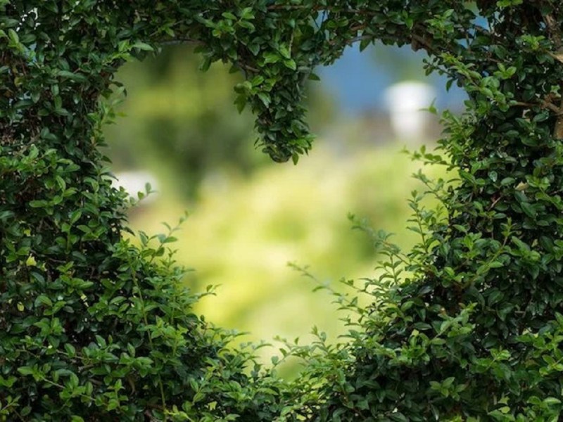 A Luino studenti e Tavolo per il clima pronti per la “Settimana dell’impronta carbonica”