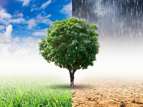 Luino, gran finale per la settimana dell’impronta carbonica